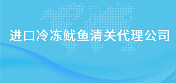 進口冷凍魷魚清關代理公司告訴你魷魚進口流程