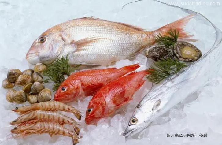 上海進口巴基斯坦水產(chǎn)品報關(guān)資料冷凍魚蝦蟹清關(guān)